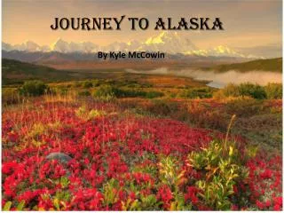 Journey To Alaska