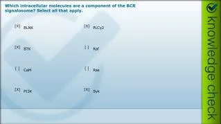 Which intracellular molecules are a component of the BCR signalosome ? Select all that apply.