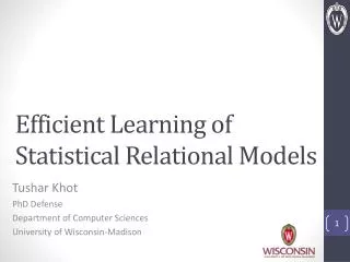 Efficient Learning of Statistical Relational Models