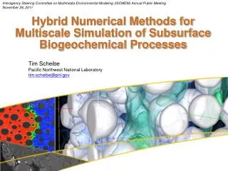 Hybrid Numerical Methods for Multiscale Simulation of Subsurface Biogeochemical Processes