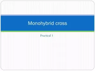 Monohybrid cross