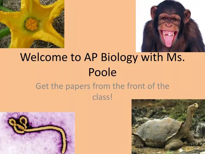 welcome to ap biology with ms poole