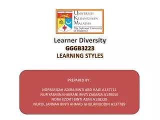 Learner Diversity GGGB3223 LEARNING STYLES