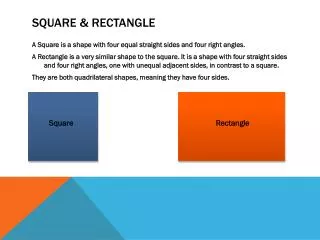 Square &amp; rectangle