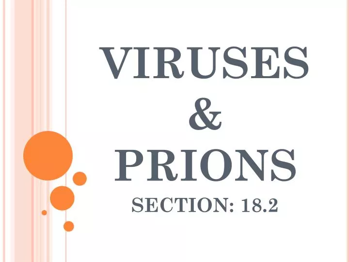 viruses prions