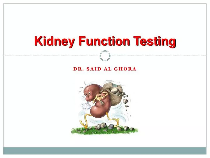 kidney function testing