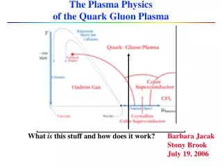 The Plasma Physics of the Quark Gluon Plasma