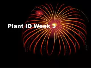 Plant ID Week 3