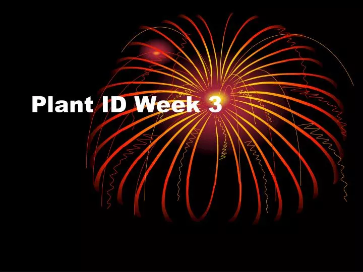 plant id week 3