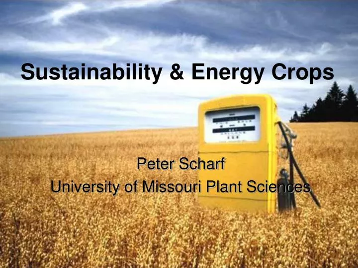 sustainability energy crops