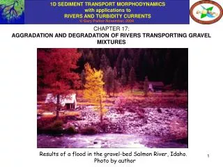 CHAPTER 17: AGGRADATION AND DEGRADATION OF RIVERS TRANSPORTING GRAVEL MIXTURES