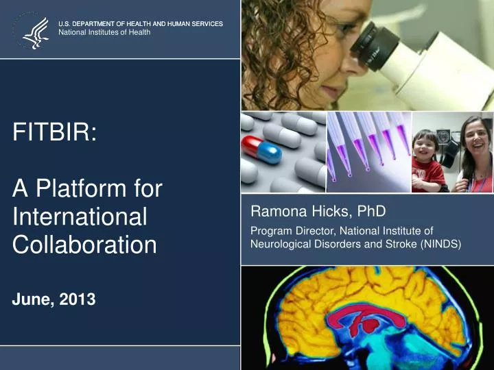 fitbir a platform for international collaboration june 2013