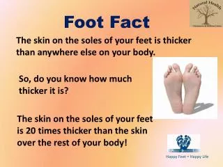 Foot Fact