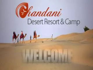 Chandani desert resort camp