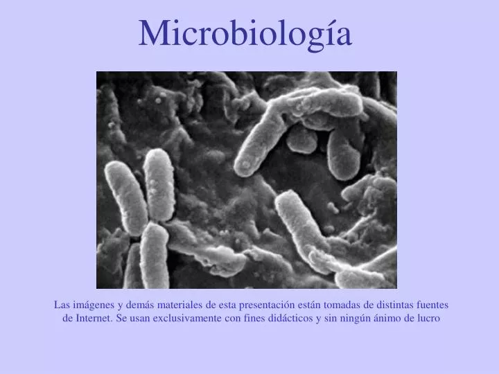 microbiolog a