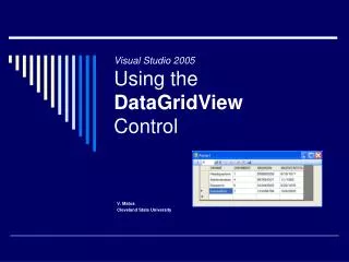 Visual Studio 2005 Using the DataGridView Control
