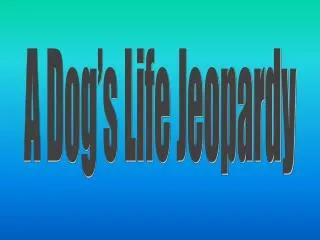 A Dog’s Life Jeopardy