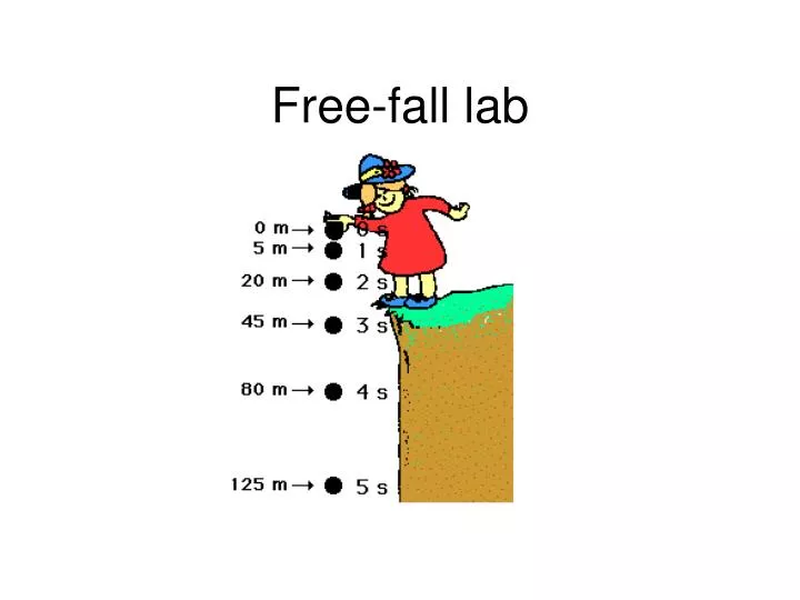 free fall lab
