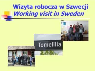 wizyta robocza w szwecji working visit in sweden