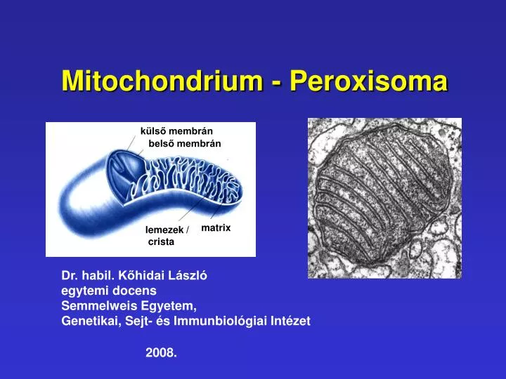 mitochondrium peroxisoma
