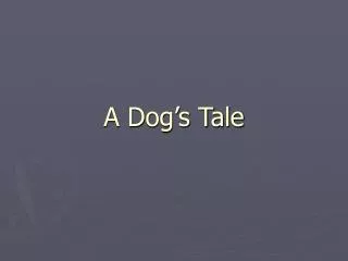 A Dog’s Tale