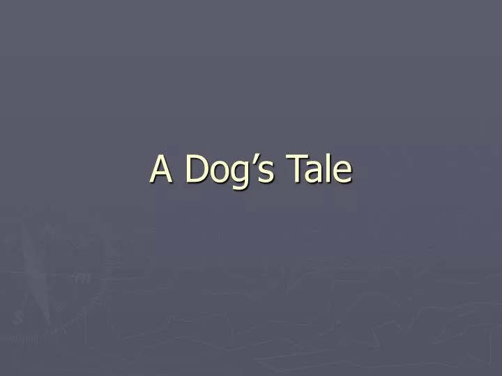 a dog s tale