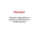 Glycolysis - slide 1