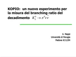 KOPIO: un nuovo esperimento per la misura del branching ratio del decadimento