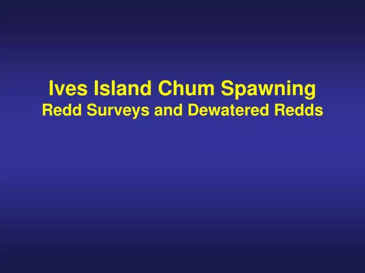ives island chum spawning redd surveys and dewatered redds