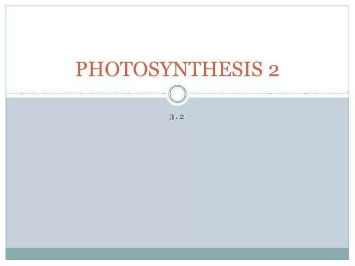 photosynthesis 2