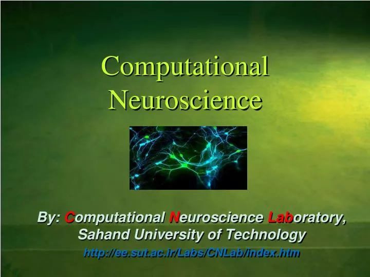 computational neuroscience