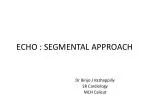 ECHO : SEGMENTAL APPROACH - slide 1