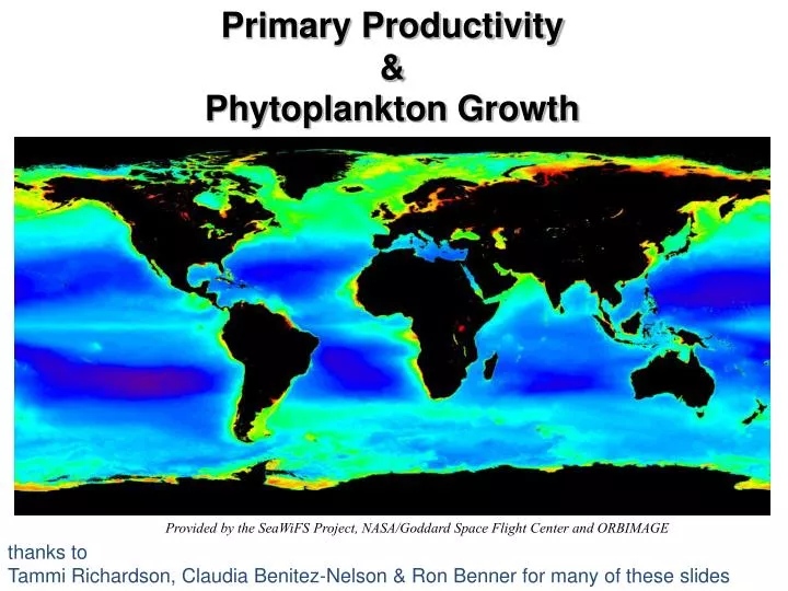primary productivity phytoplankton growth