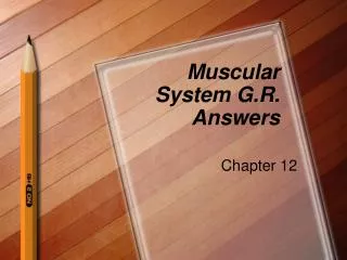 Muscular System G.R. Answers