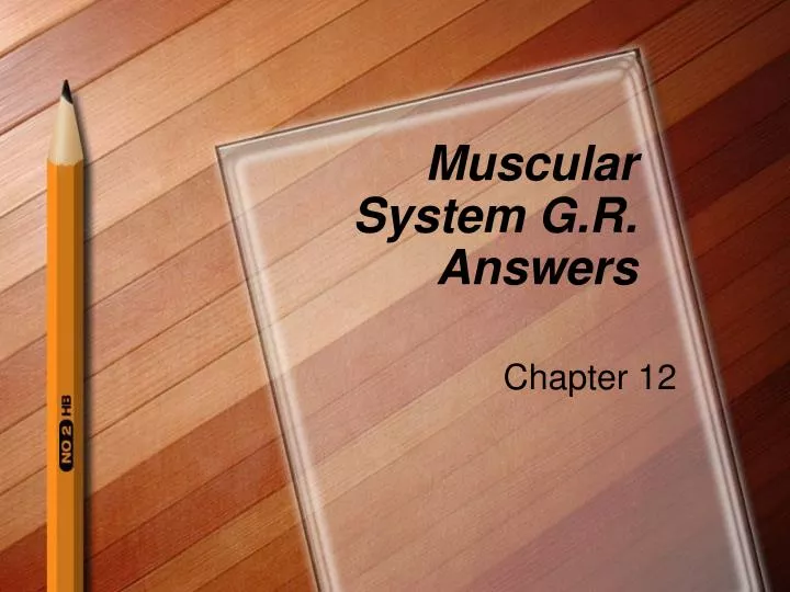 muscular system g r answers