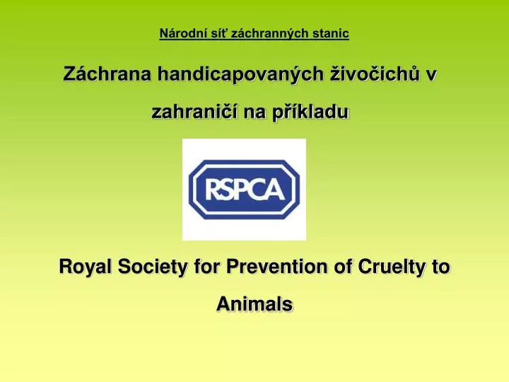 royal society for prevention of cruelty to animals