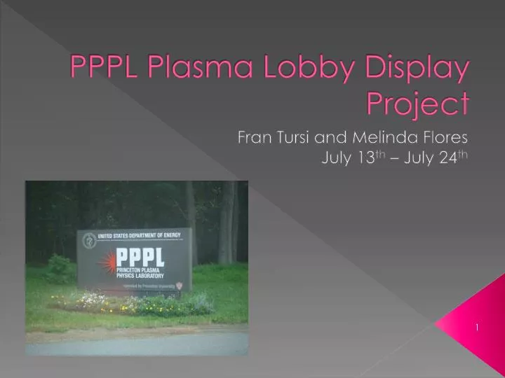 pppl plasma lobby display project