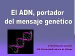 El ADN, portador del mensaje genético - slide 1