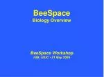 BeeSpace Biology Overview - slide 1