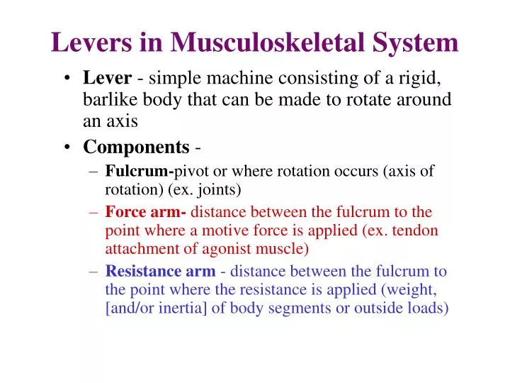 levers in musculoskeletal system