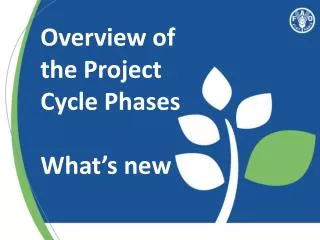 Overview of the Project Cycle Phases What’s new