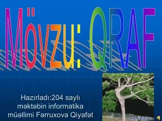 haz rlad 204 sayl m kt bin informatika m llimi f rruxova qiyaf t