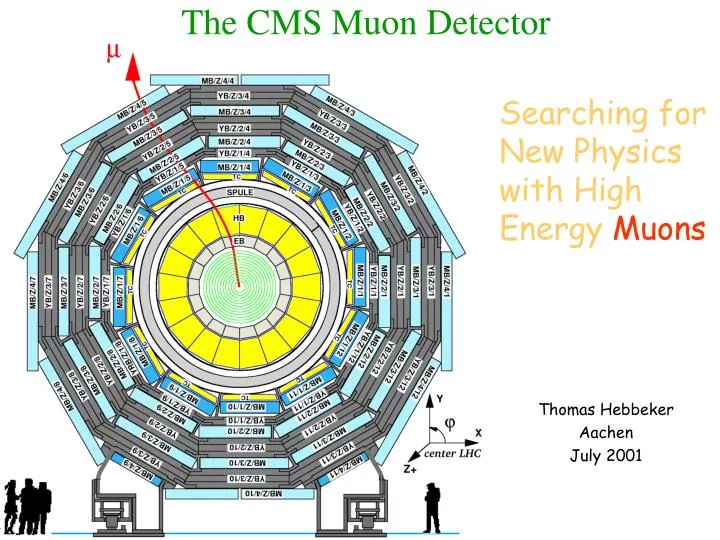 the cms muon detector
