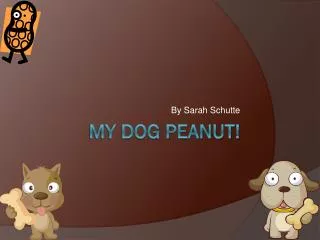 My Dog Peanut!