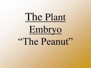 The Plant Embryo “The Peanut”