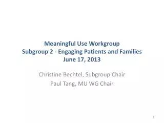 Meaningful Use Workgroup Subgroup 2 - Engaging Patients and Families June 17, 2013