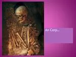 An Corp - slide 1