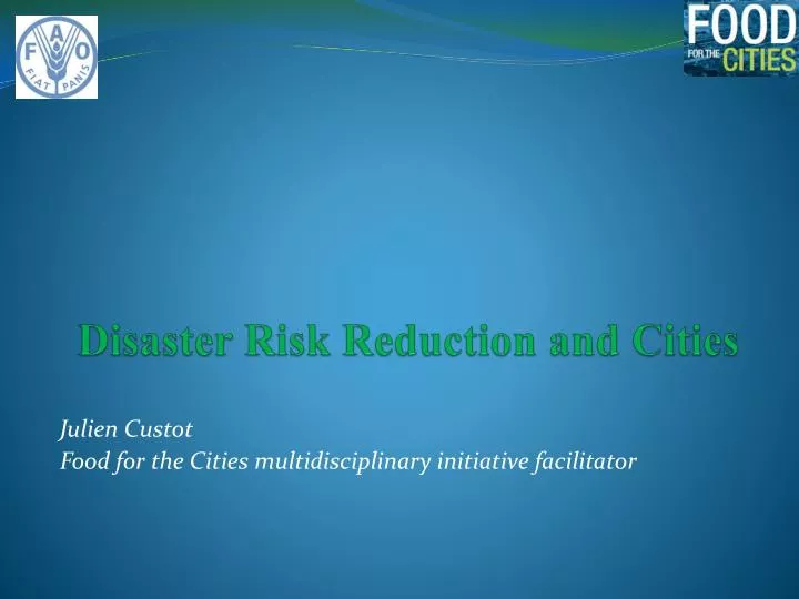 disaster risk reduction and cities
