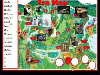 1.panda 2.elephant 3.Sea lion 4.Polar bear 5.alligator 6mel 7.zebra 8.frog 9.kangroo