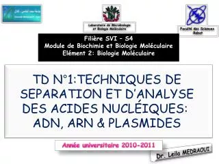 TD N°1:TECHNIQUES DE SEPARATION ET D’ANALYSE DES ACIDES NUCLÉIQUES: ADN, ARN &amp; PLASMIDES